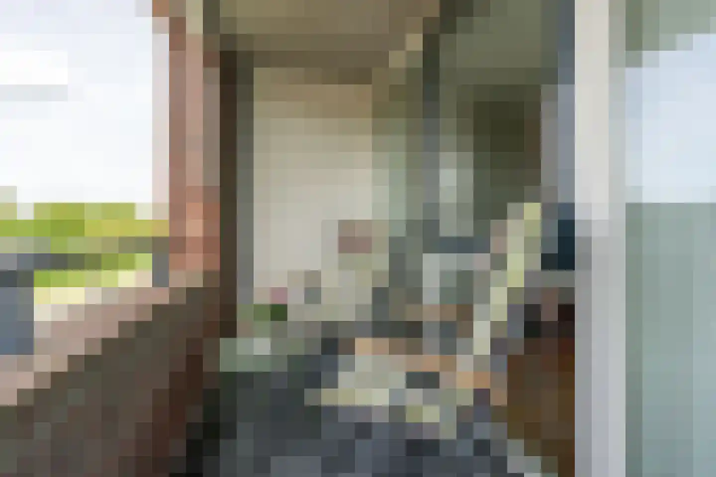 Rijsenborch 281 Vianen thumbnail 24