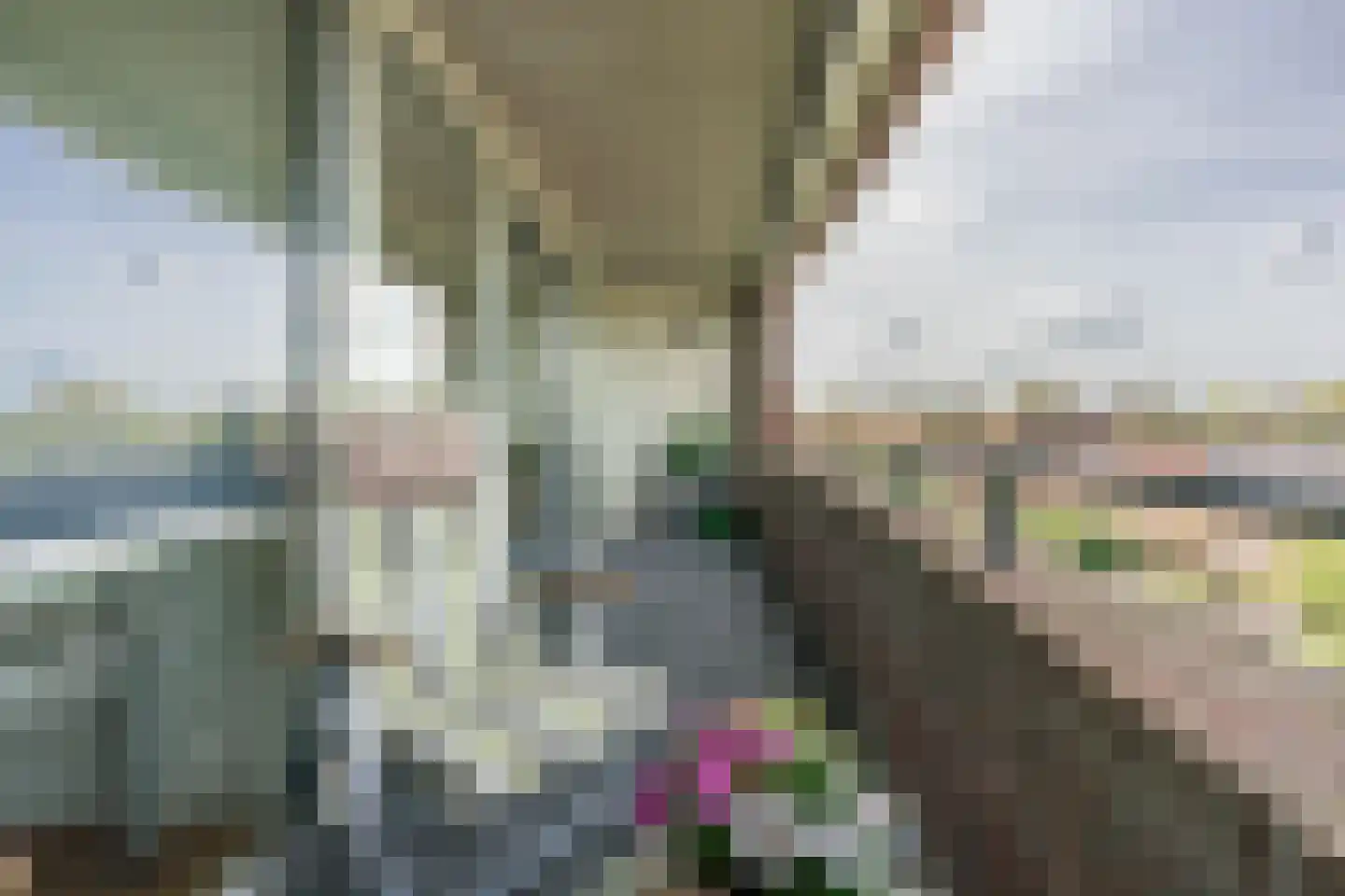 Rijsenborch 281 Vianen thumbnail 25