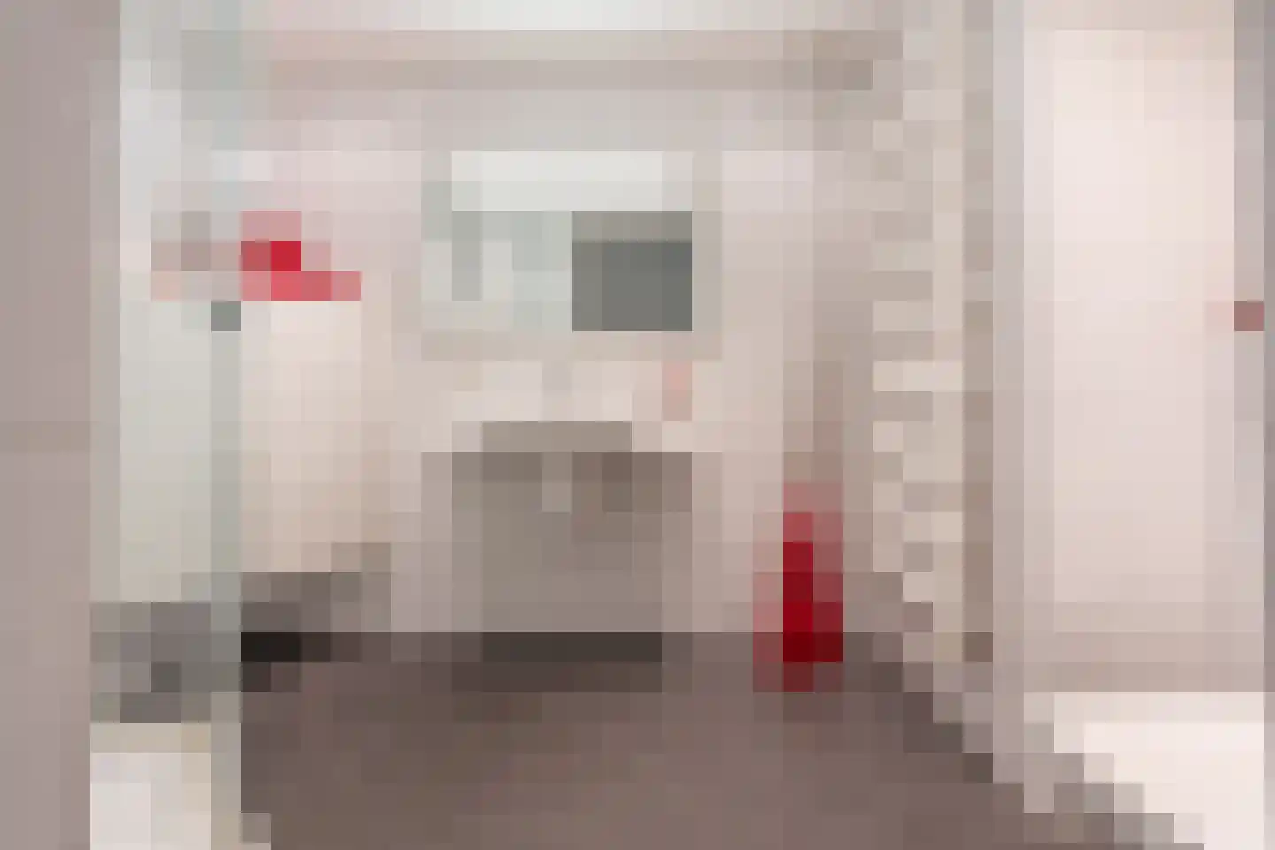 Rijsenborch 281 Vianen thumbnail 32