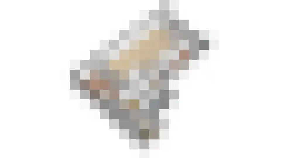 Rijsenborch 281 Vianen thumbnail 45