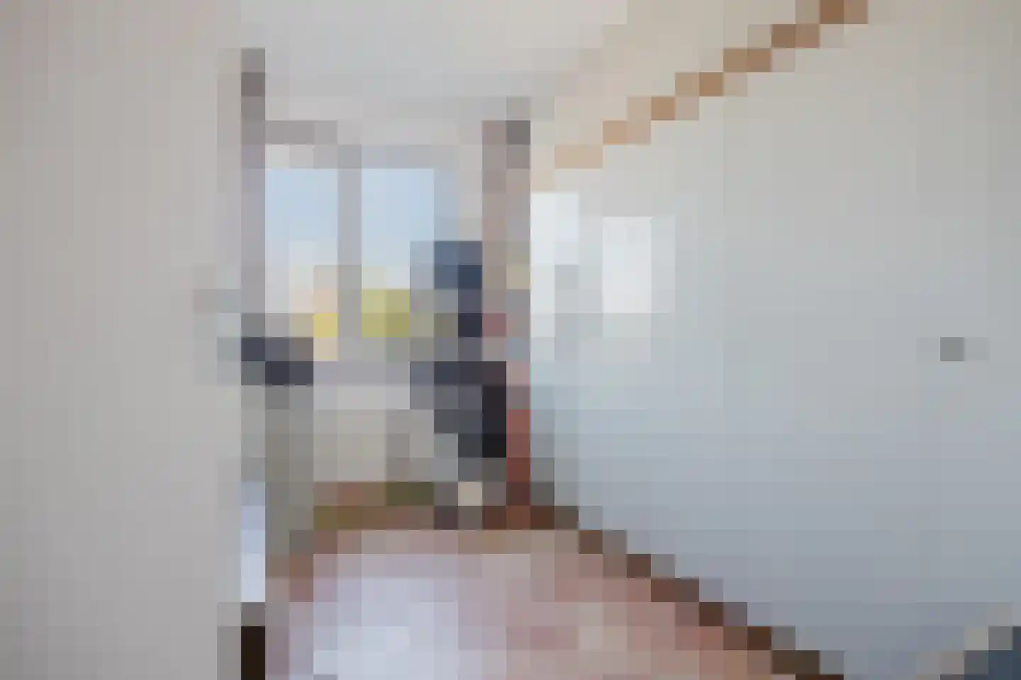 Rijsenborch 33 Vianen thumbnail 22