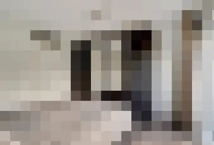 Rijsenborch 39 Vianen thumbnail 10
