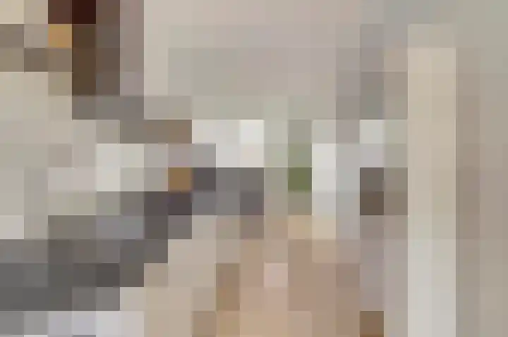 Rijsenborch 39 Vianen thumbnail 23