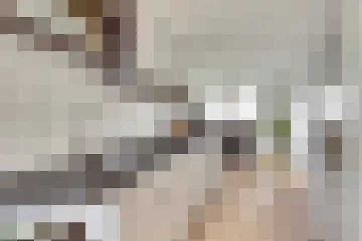 Rijsenborch 39 Vianen thumbnail 24