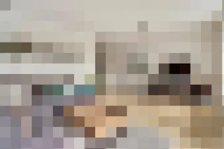 Rijsenborch 39 Vianen thumbnail 28