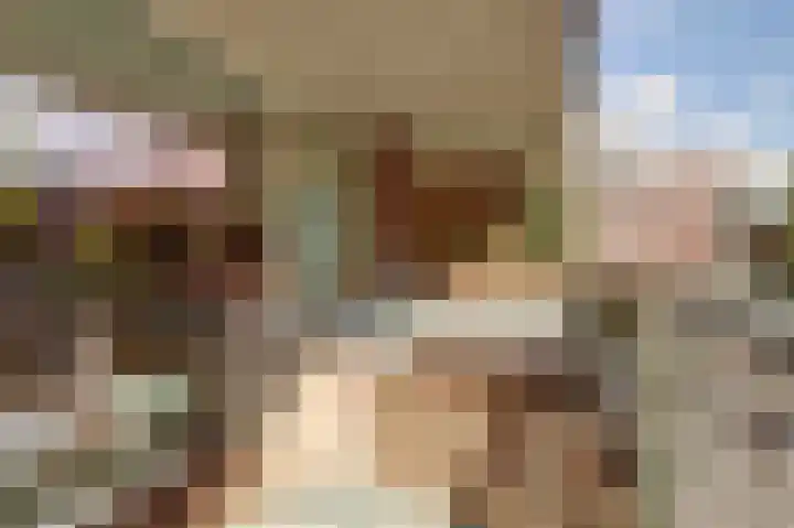 Rijsenborch 39 Vianen thumbnail 32