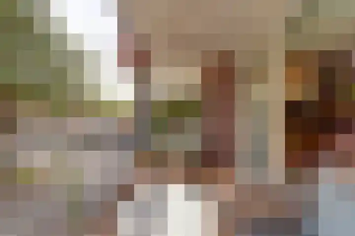 Rijsenborch 39 Vianen thumbnail 33