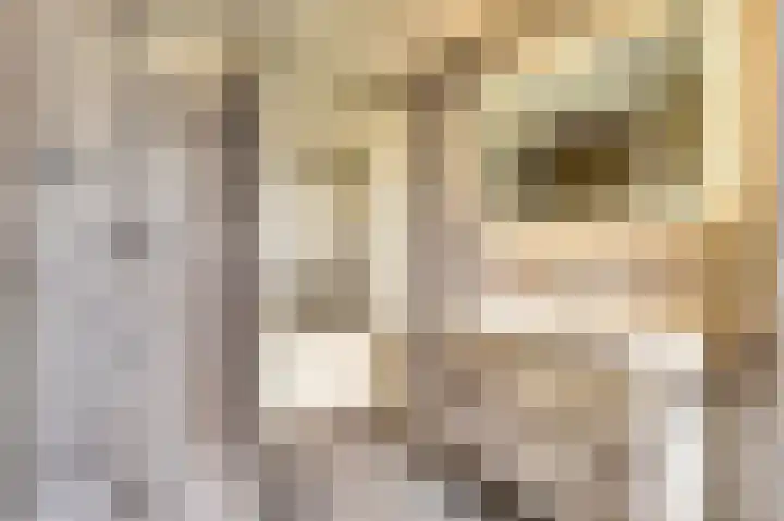 Rijsenborch 39 Vianen thumbnail 4