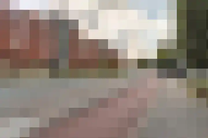 Rijsenborch 39 Vianen thumbnail 46