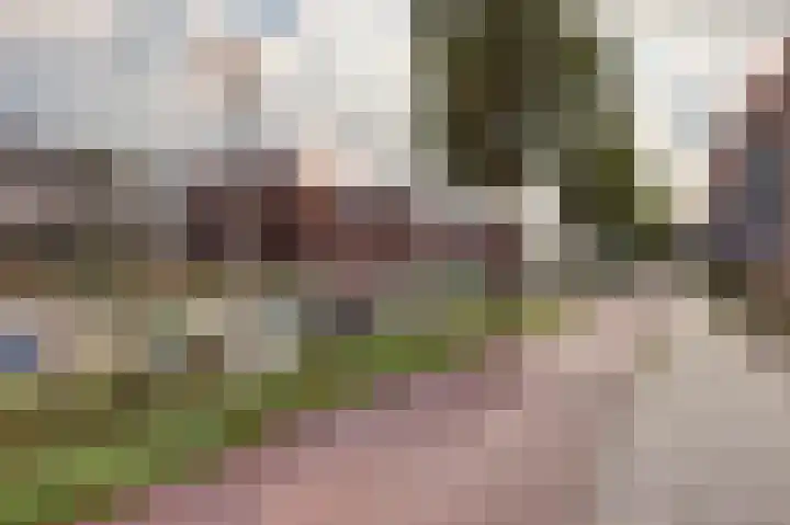 Rijsenborch 39 Vianen thumbnail 47