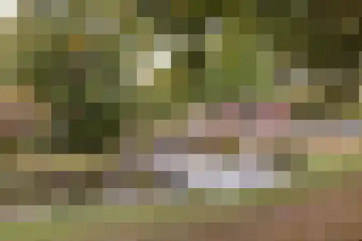 Rijsenborch 39 Vianen thumbnail 49