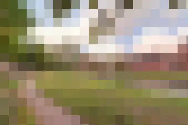 Rijsenborch 39 Vianen thumbnail 50