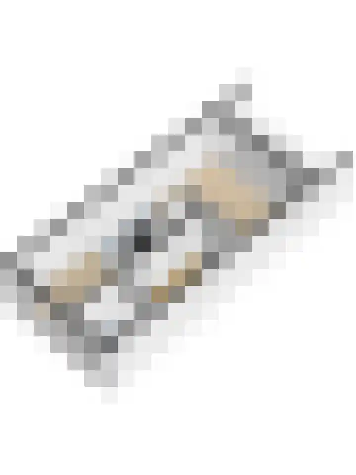 Rijsenborch 39 Vianen thumbnail 53