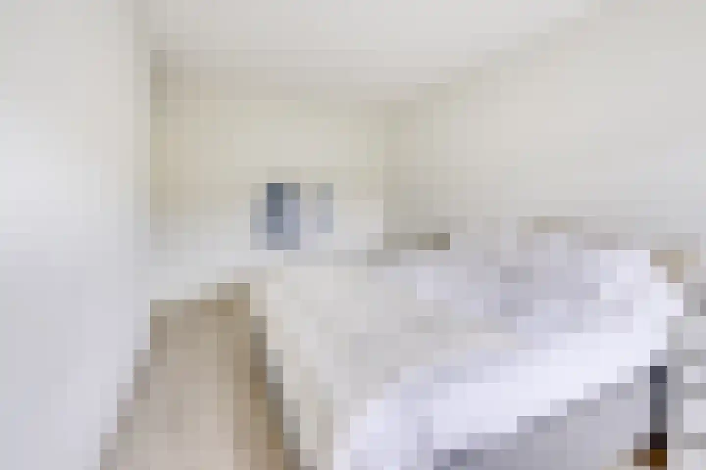 Rijsenborch 6 Vianen thumbnail 23