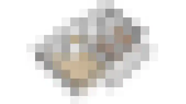Rijsenborch 81 Vianen thumbnail 47