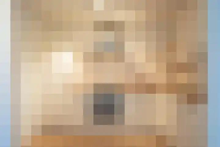 Rijsenborch 99 Vianen thumbnail 16