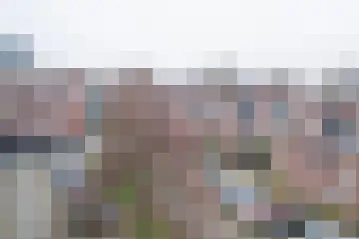 Rijsenborch 99 Vianen thumbnail 27