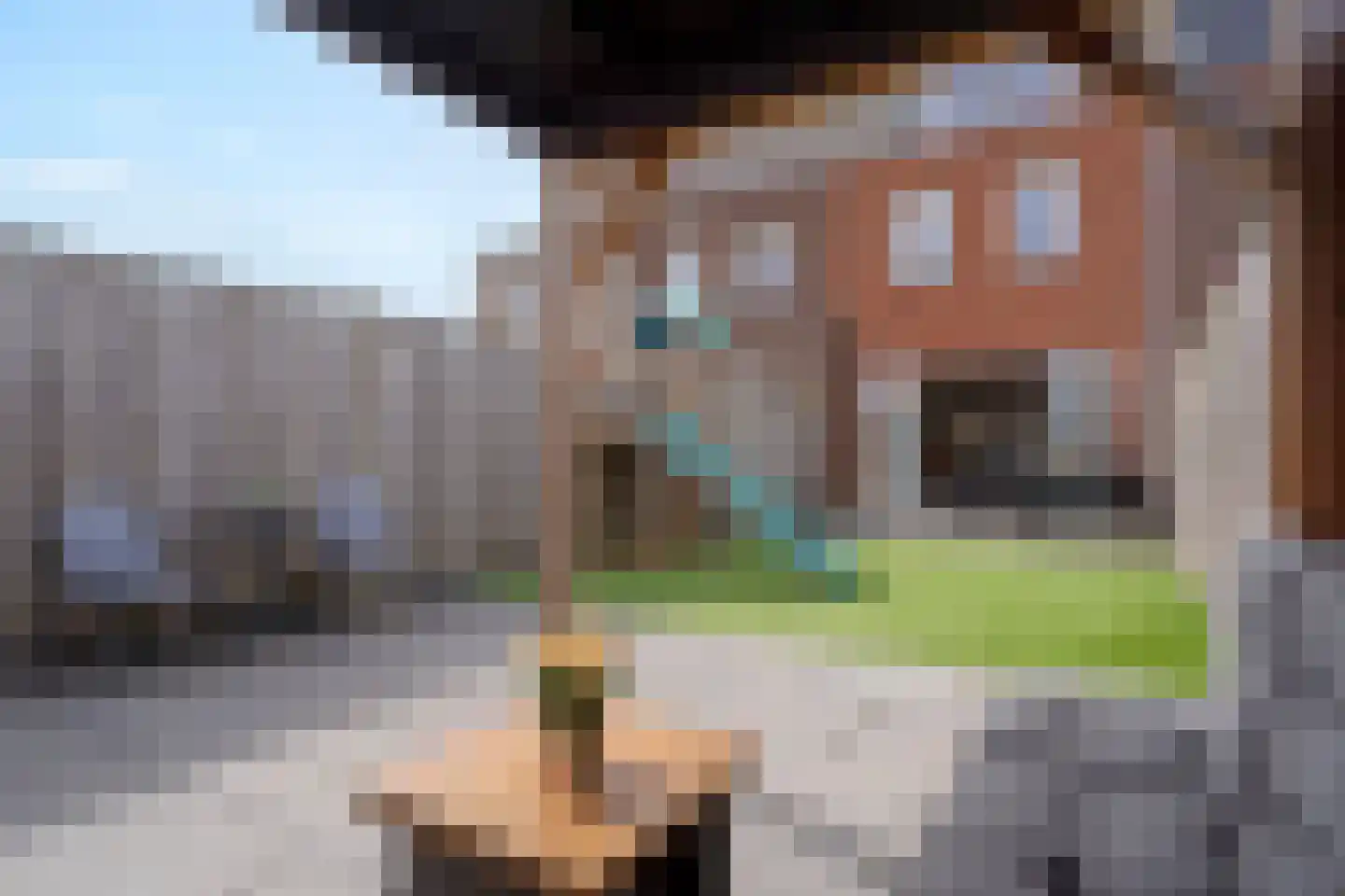 Rijsenburgerweg 18 B Poeldijk thumbnail 17