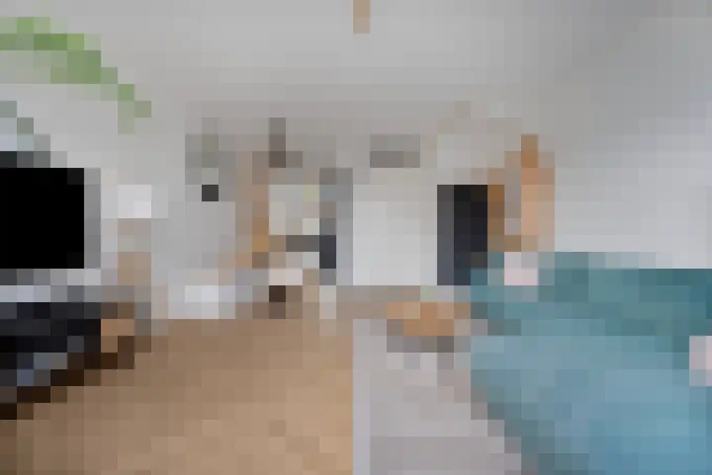 Rijsenburgerweg 18 B Poeldijk thumbnail 9