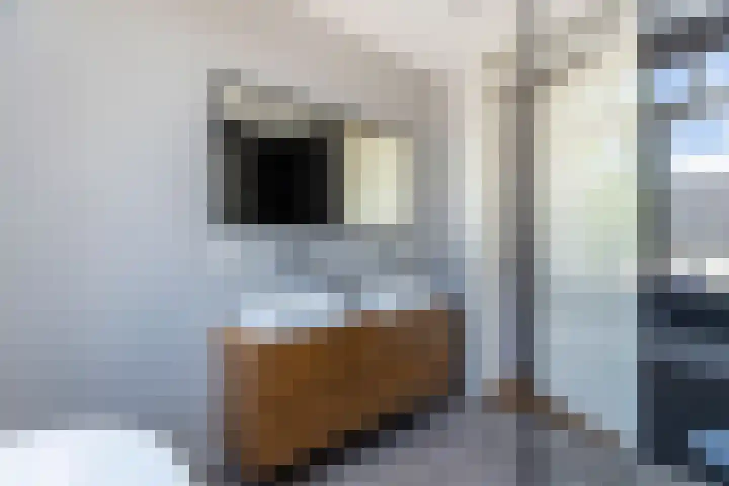 Rijsenburgerweg 23 Poeldijk thumbnail 38