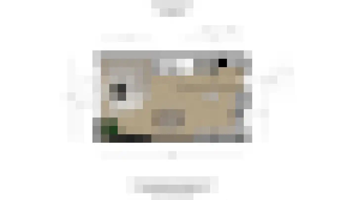 Rijsenburgerweg 23 Poeldijk thumbnail 57
