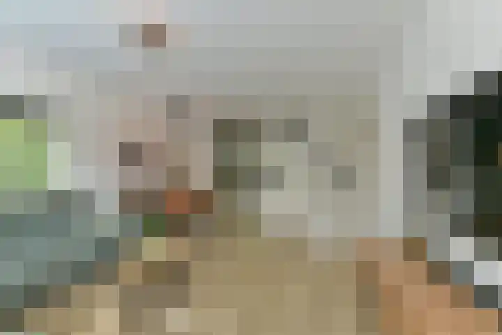 Rijsenburgselaan 61 Driebergen-Rijsenburg thumbnail 11