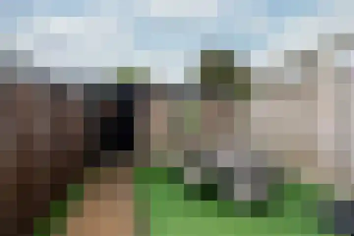 Rijsenburgselaan 61 Driebergen-Rijsenburg thumbnail 17