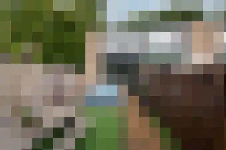 Rijsenburgselaan 61 Driebergen-Rijsenburg thumbnail 18
