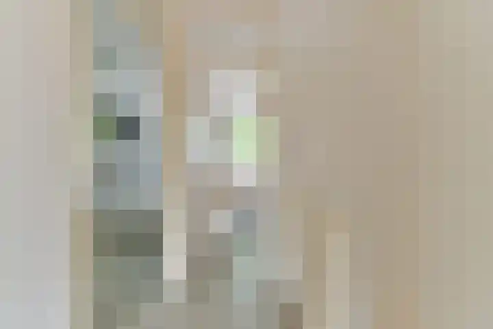 Rijsenburgselaan 61 Driebergen-Rijsenburg thumbnail 24