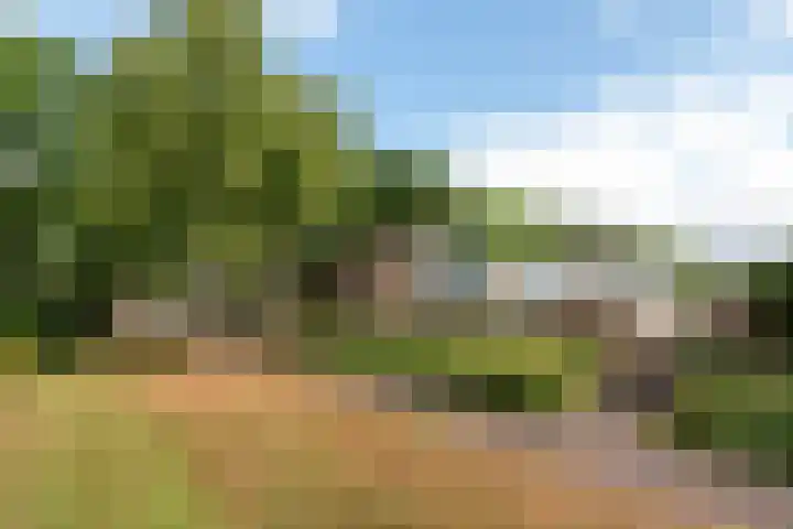 Rijsenburgselaan 61 Driebergen-Rijsenburg thumbnail 31