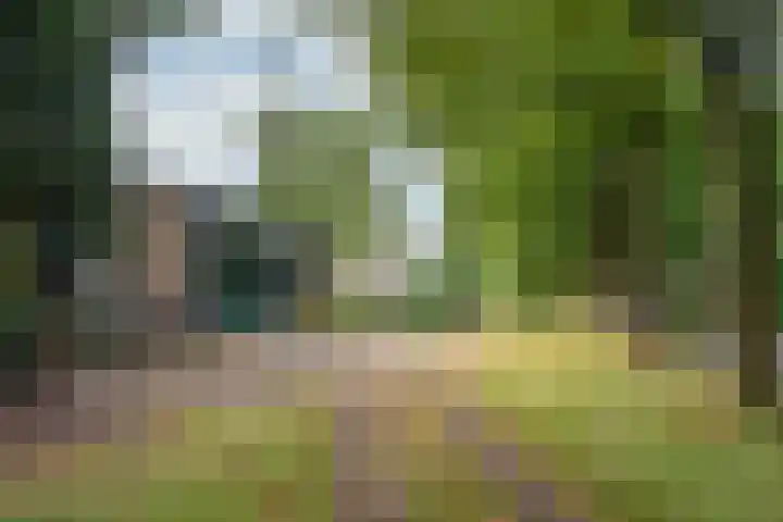 Rijsenburgselaan 61 Driebergen-Rijsenburg thumbnail 5
