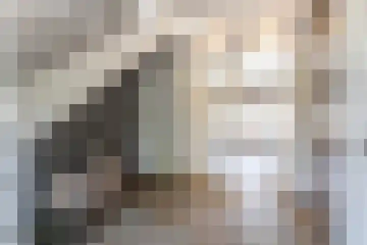 Rijshaak 1 Werkendam thumbnail 12