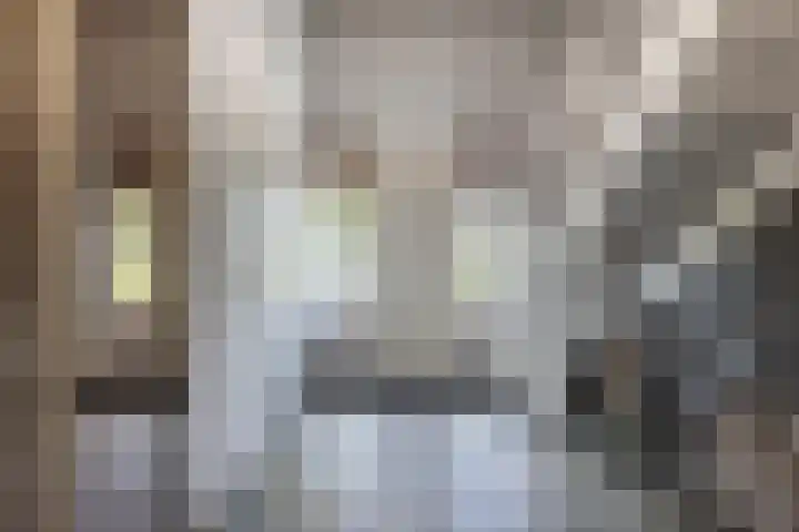 Rijshaak 1 Werkendam thumbnail 13