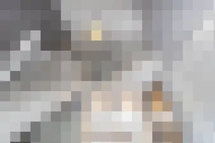 Rijshaak 1 Werkendam thumbnail 14