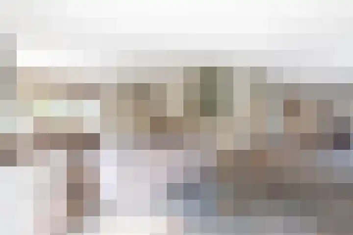 Rijshaak 1 Werkendam thumbnail 17