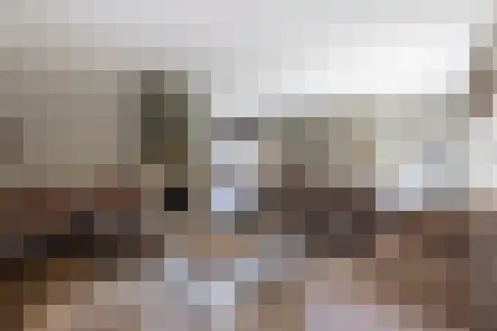 Rijshaak 1 Werkendam thumbnail 19