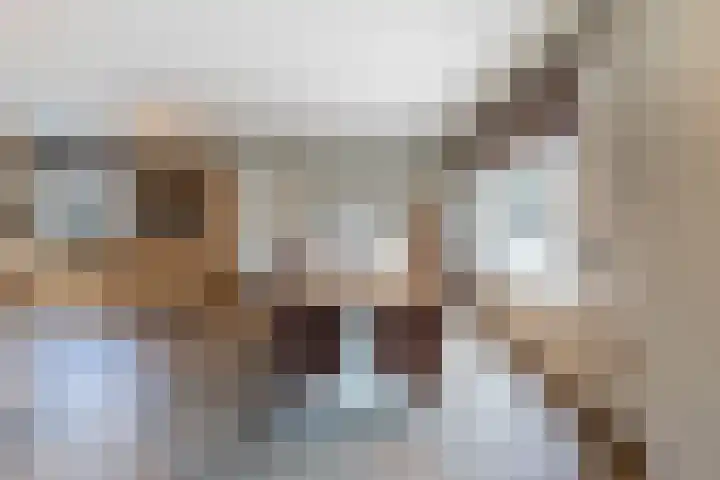 Rijshaak 1 Werkendam thumbnail 23