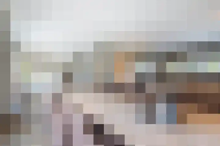 Rijshaak 1 Werkendam thumbnail 25