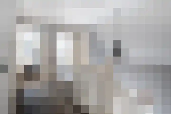 Rijshaak 1 Werkendam thumbnail 37