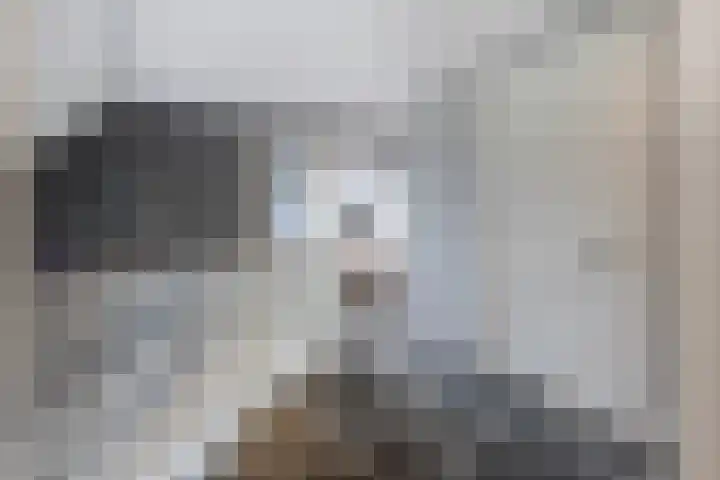 Rijshaak 1 Werkendam thumbnail 38