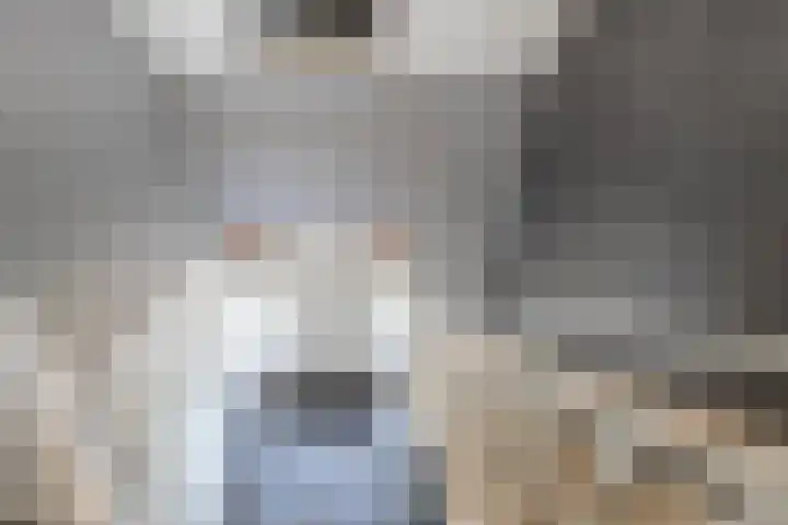 Rijshaak 1 Werkendam thumbnail 39