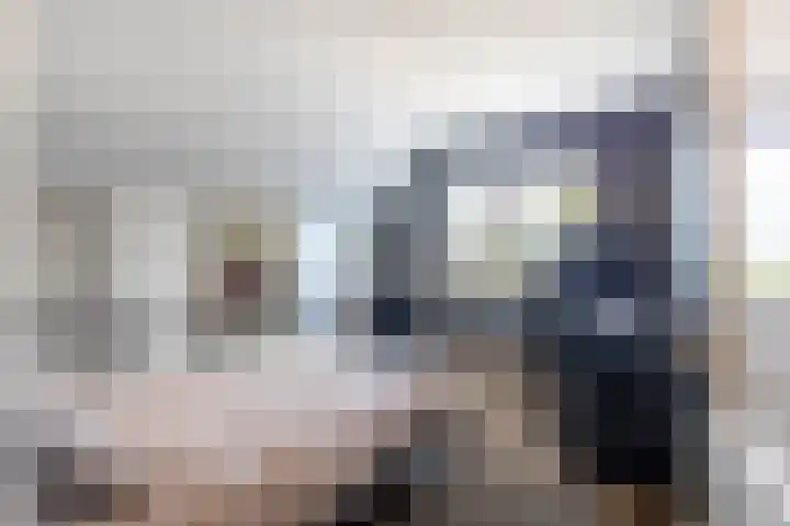 Rijshaak 1 Werkendam thumbnail 40