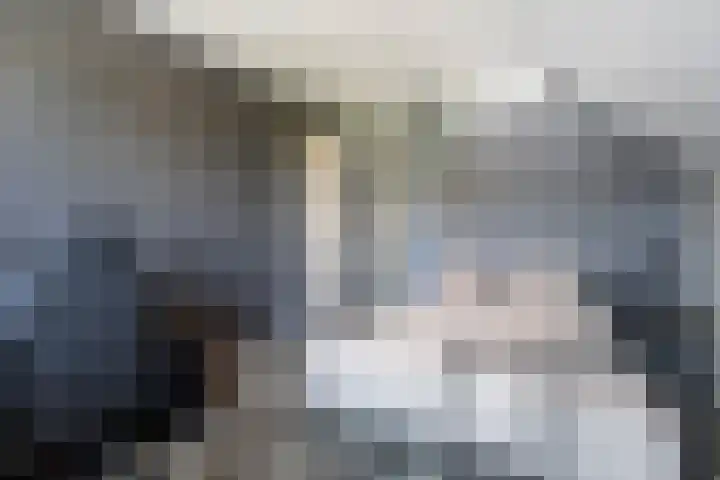 Rijshaak 1 Werkendam thumbnail 41
