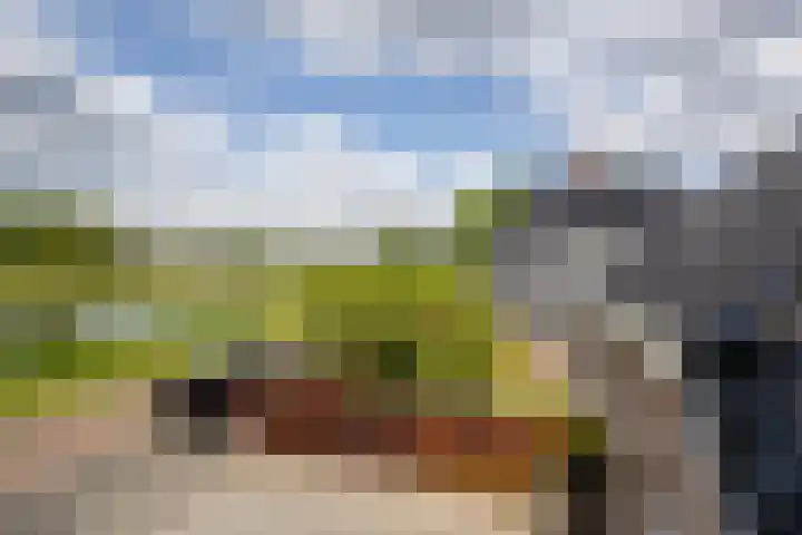 Rijshaak 1 Werkendam thumbnail 42