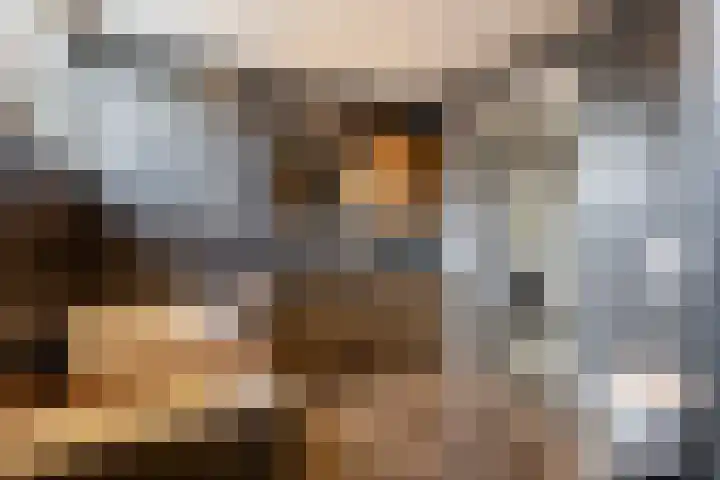 Rijshaak 1 Werkendam thumbnail 46