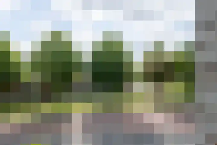 Rijshaak 1 Werkendam thumbnail 51
