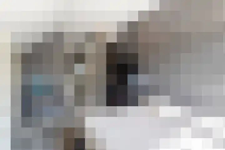 Rijshaak 1 Werkendam thumbnail 53