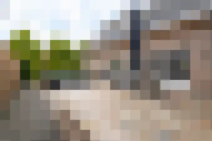 Rijshaak 1 Werkendam thumbnail 56