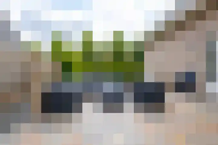 Rijshaak 1 Werkendam thumbnail 57