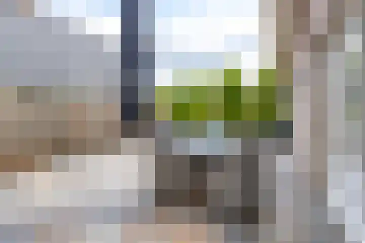 Rijshaak 1 Werkendam thumbnail 58
